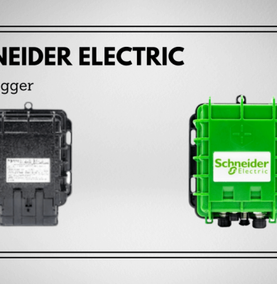 Elizabeth - Meet the Team Elizabeth - Meet the Team