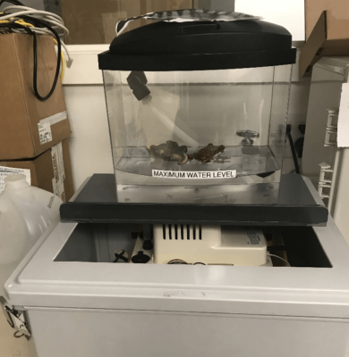 Screen Shot 2020-01-29 at 9.35.05 AM Screen Shot 2020-01-29 at 9.35.05 AM