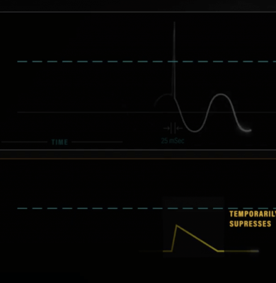 Screen Shot 2020-04-24 at 8.07.21 AM