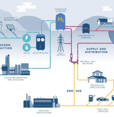 Screen Shot 2022-01-04 at 1.04.16 PM